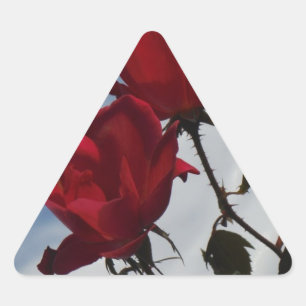 Adesivo Triangular Rosas vermelhas contra o céu azul brilhante