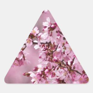 Adesivo Triangular Sakura Cherry Blossoms Pastel Pink Camadas
