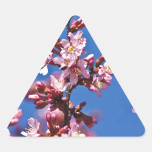 Adesivo Triangular Sakura Cherry Blossoms tocando azul