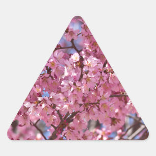 Adesivo Triangular Sakura Pink Chersom Sky