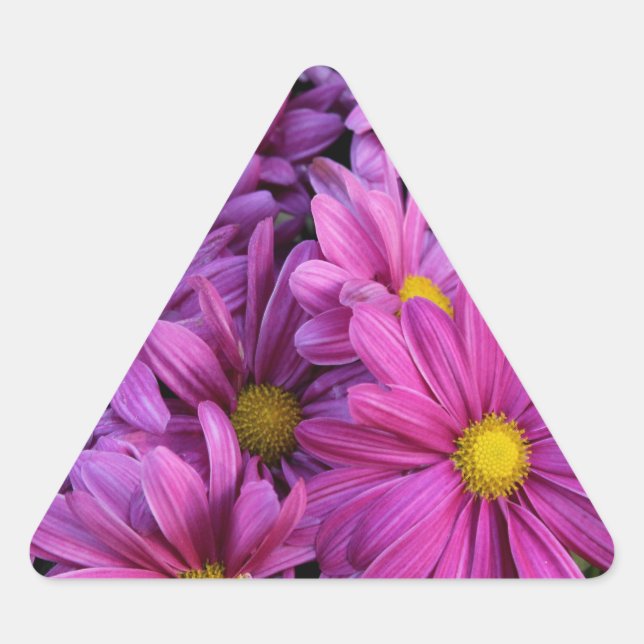 ADESIVO TRIANGULAR SANGUE (Frente)