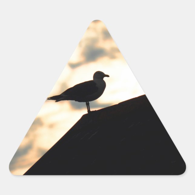 Adesivo Triangular Sea Gull Sunset (Frente)