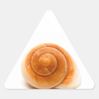 Adesivo Triangular Seashell
