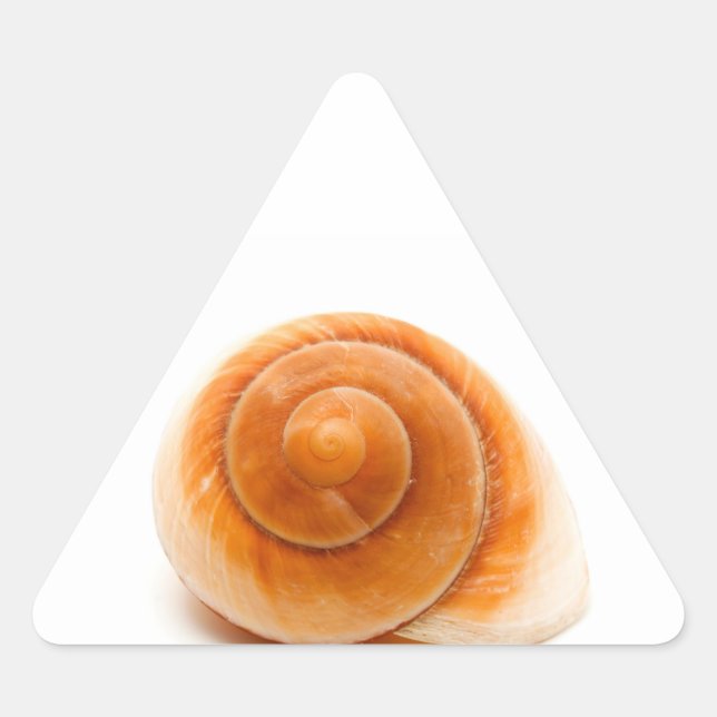 Adesivo Triangular Seashell (Frente)