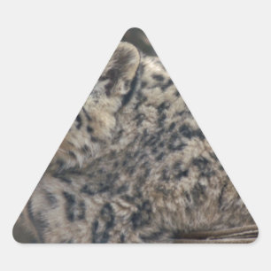 Adesivo Triangular Snow Lepard