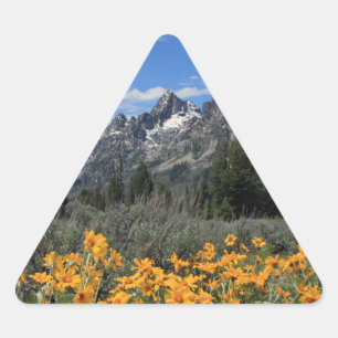 Adesivo Triangular Springtime no Parque Nacional de Grand Teton
