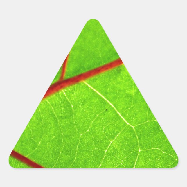 Adesivo Triangular St Thomas 1 (Frente)