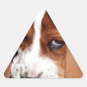 Adesivo Triangular Sua imagem aqui