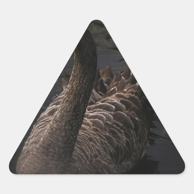 Adesivo Triangular Swan Negro (Frente)