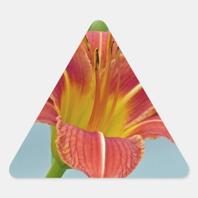 Adesivo Triangular Tiger Daylily (Frente)