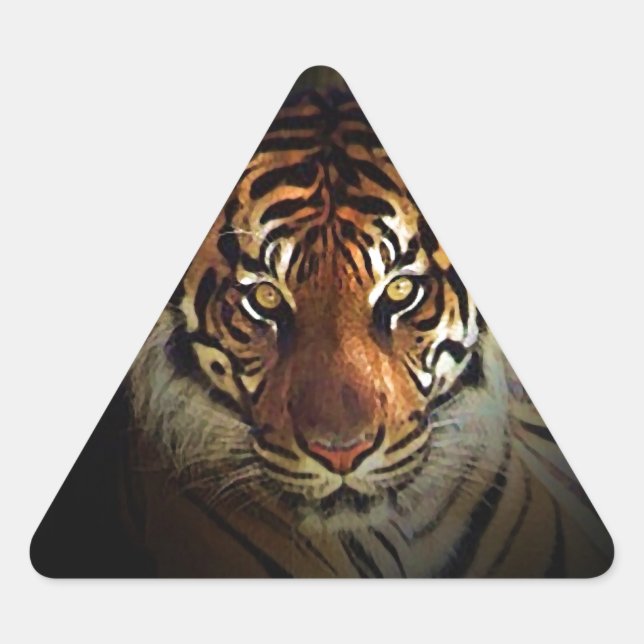 Adesivo Triangular Tigre (Frente)