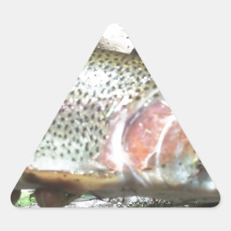 Adesivo Triangular Truta arco-íris