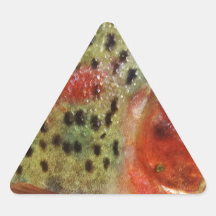 Adesivo Triangular Truta nas Mãos