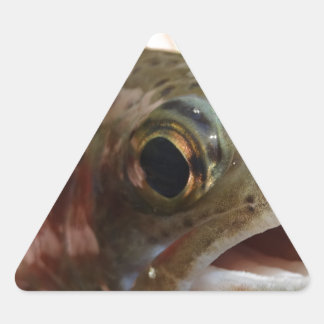 Adesivo Triangular Truta nas Mãos