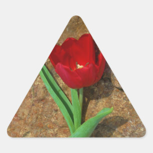 Adesivo Triangular Tulipa vermelha e amarela