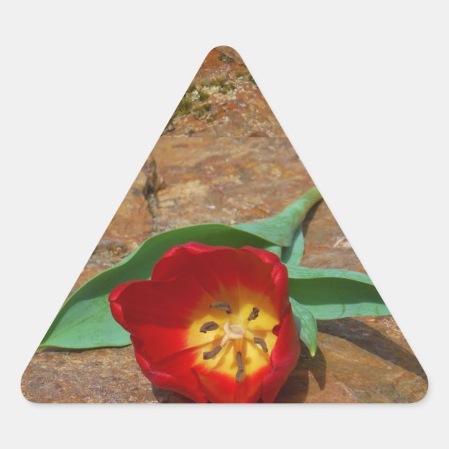 Adesivo Triangular Tulipa Vermelha primavera (Frente)