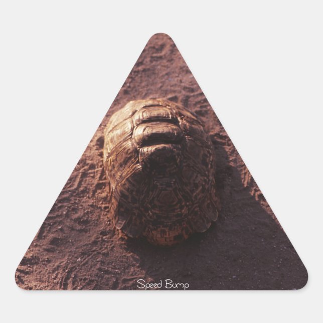 Adesivo Triangular Velocidade (Frente)