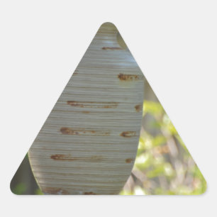 Adesivo Triangular Vida estática