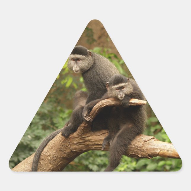 Adesivo Triangular Vinheta de triângulo macaco (Frente)