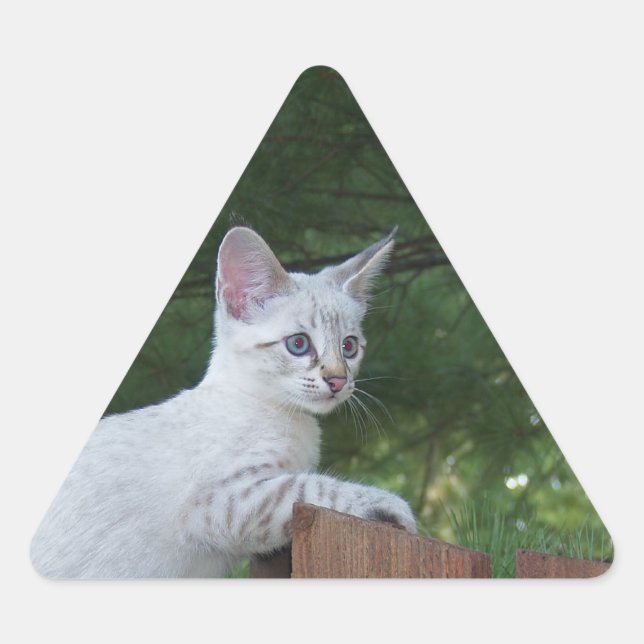 Adesivo Triangular Vinheta Triangular de Cat Savannah Branca (Frente)