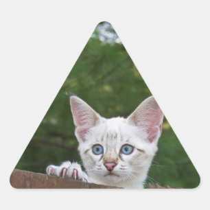 Adesivo Triangular Vinheta Triangular de Cat Savannah Branca