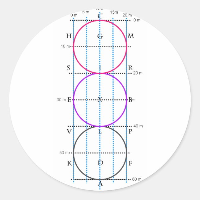 Adesivo Tribunal de Dressage 20x60m **Círculos** (Frente)