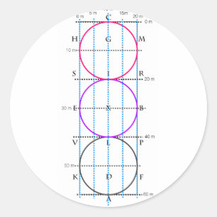 Adesivo Tribunal de Dressage 20x60m **Círculos**