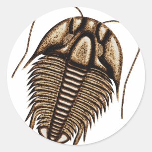 Adesivo Trilobite