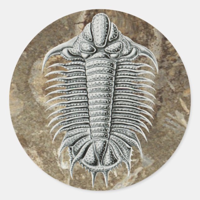 Adesivo Trilobite Sticker (Frente)