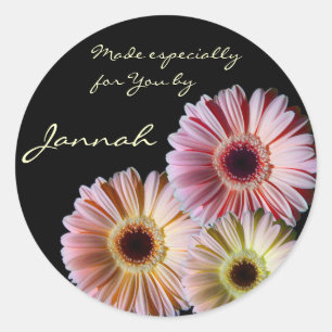Adesivo Trio da margarida do Gerbera
