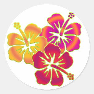 Adesivo trio de hibisco
