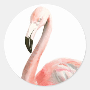 Adesivo Tropical Flamingo Bird
