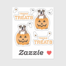 Truques Para Tratar Laranja De Bulldog Inglês