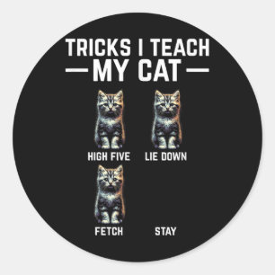 Adesivo Truques Que Ensino O Meu Gato - Pai Engraçado De G