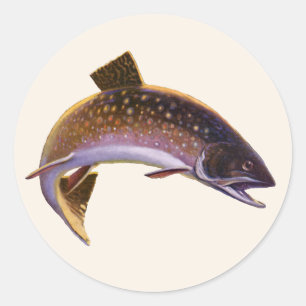 Adesivo Truta-de-riacho, Pescador de Peixes Esportivos Vin