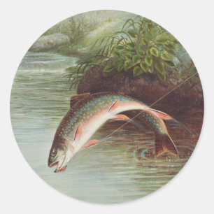 Adesivo Truta-de-riacho Saltando por S.A. Kilbourne Peixe 