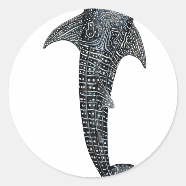 Adesivo Tubarão-baleia (Frente)