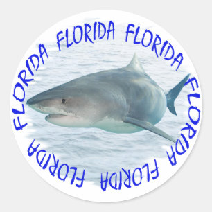 Adesivo Tubarão de Florida