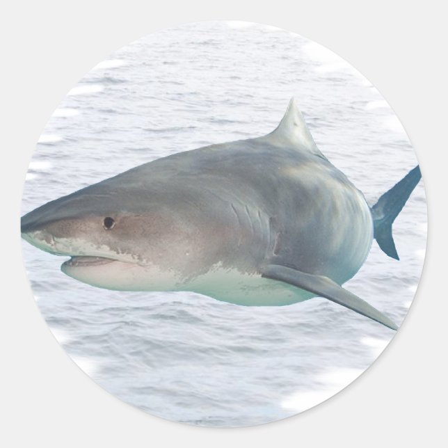 Adesivo Tubarão na água (Frente)