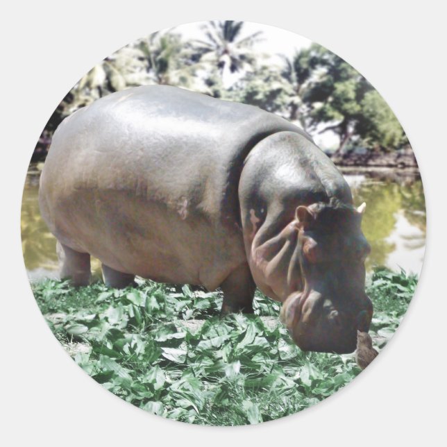 Adesivo Tudo bem que somos diferentes, podemos resolver (Frente)