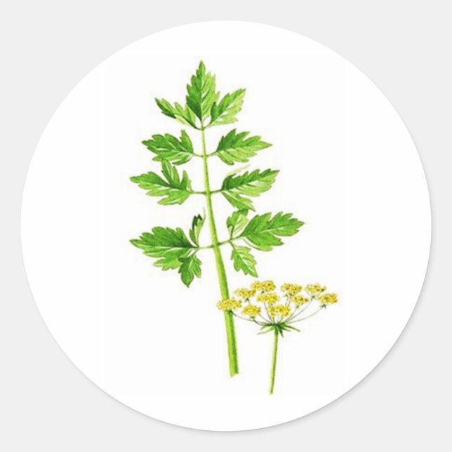 Adesivo Tudo que você precisa é Lovage (Frente)