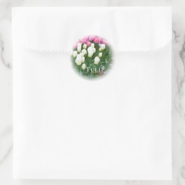 Adesivo Tulip (Bolsa)