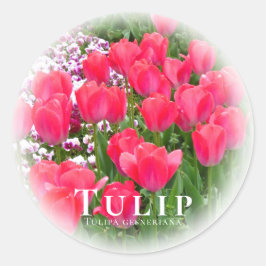 Adesivo Tulip