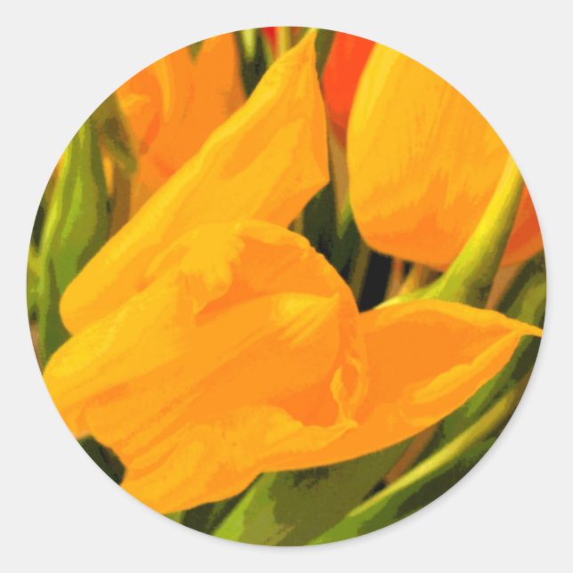 Adesivo Tulip (Frente)