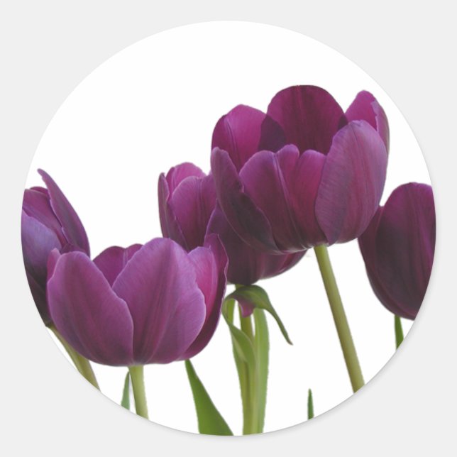 Adesivo Tulips Sticker (Frente)