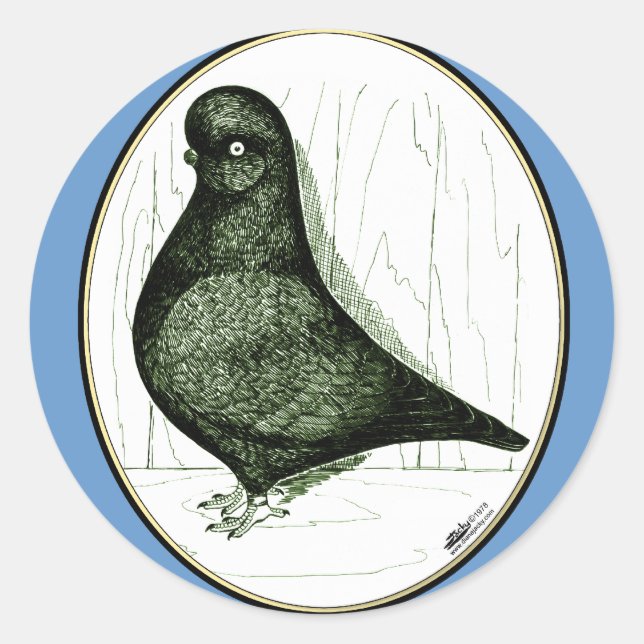 Adesivo Tumbler Pigeon LFCL De 1978 (Frente)