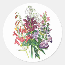 Adesivo Turfeiras e bangas