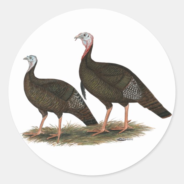 Adesivo Turkeys East Wild Pair (Frente)