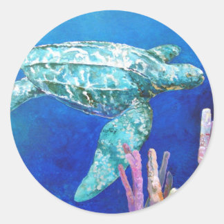 ADESIVO TURLA DE LEATHERBACK