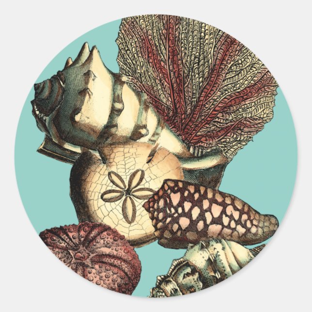 Adesivo Turquesa Shell e Red Coral Collection (Frente)